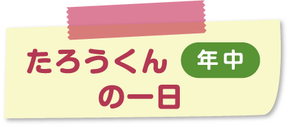 taro-